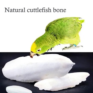 Cuttlefish bone for birds(Cuttlefish Bird Food)-50 gm. 