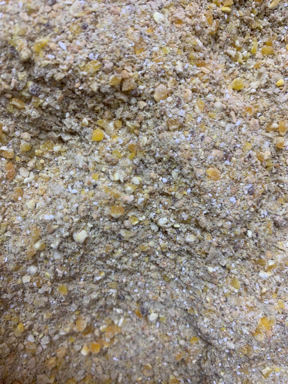 NOURISH QUAIL LAYER LAYER FEED 500GM FORLL COMMON JAPANESE KING PLUMAGE. 