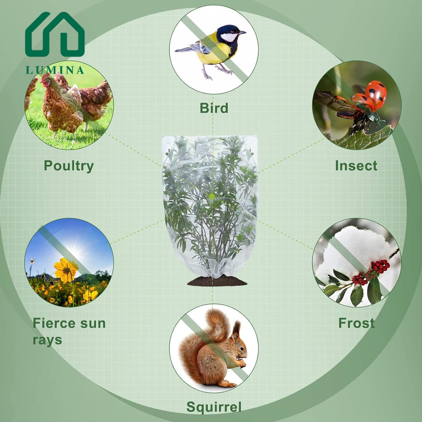 Lumina Environmentally Friendly Plant Netting Protect Garden with Breathable Bird Insect Barrier Netting Essential Plant Cover for Fruit Trees Zipper Design Water Permeable Buy Insect-proof Mesh Bag. 