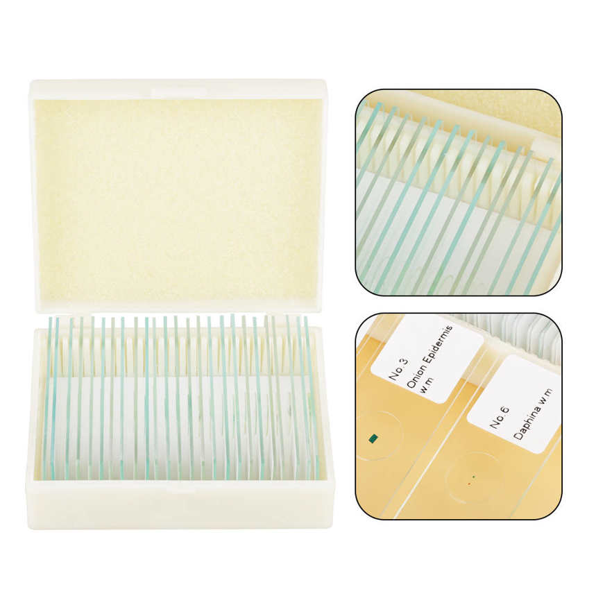 25pcs Biology Glass Prepared Microscope Slides Lab Specimens With Box DH