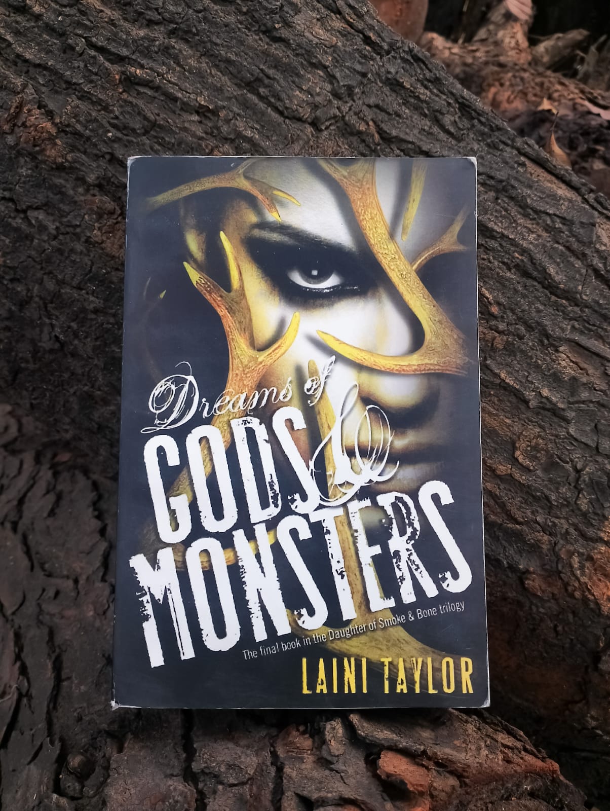 Dreams of Gods and Monsters by Laini Taylor | Daraz.com.bd