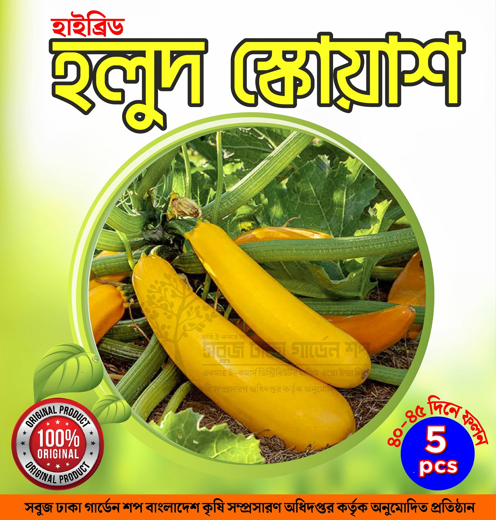 Hybrid Yellow Squash Seeds 5pcs Re-Pack (Korean)