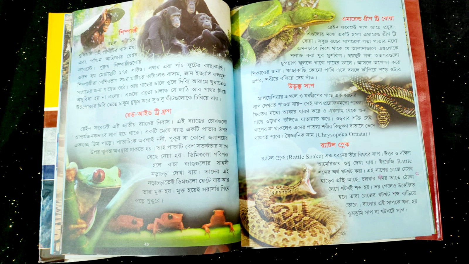 Kids Science Book- Children's knowledge Bank-Wonderful & Interesting Information. 