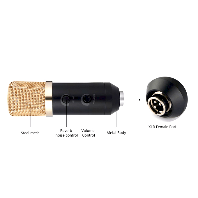 BM-100FX Condenser Microphone Studio Mic BM100FX Audio Editing Music Compose Vocal Voice Over. 