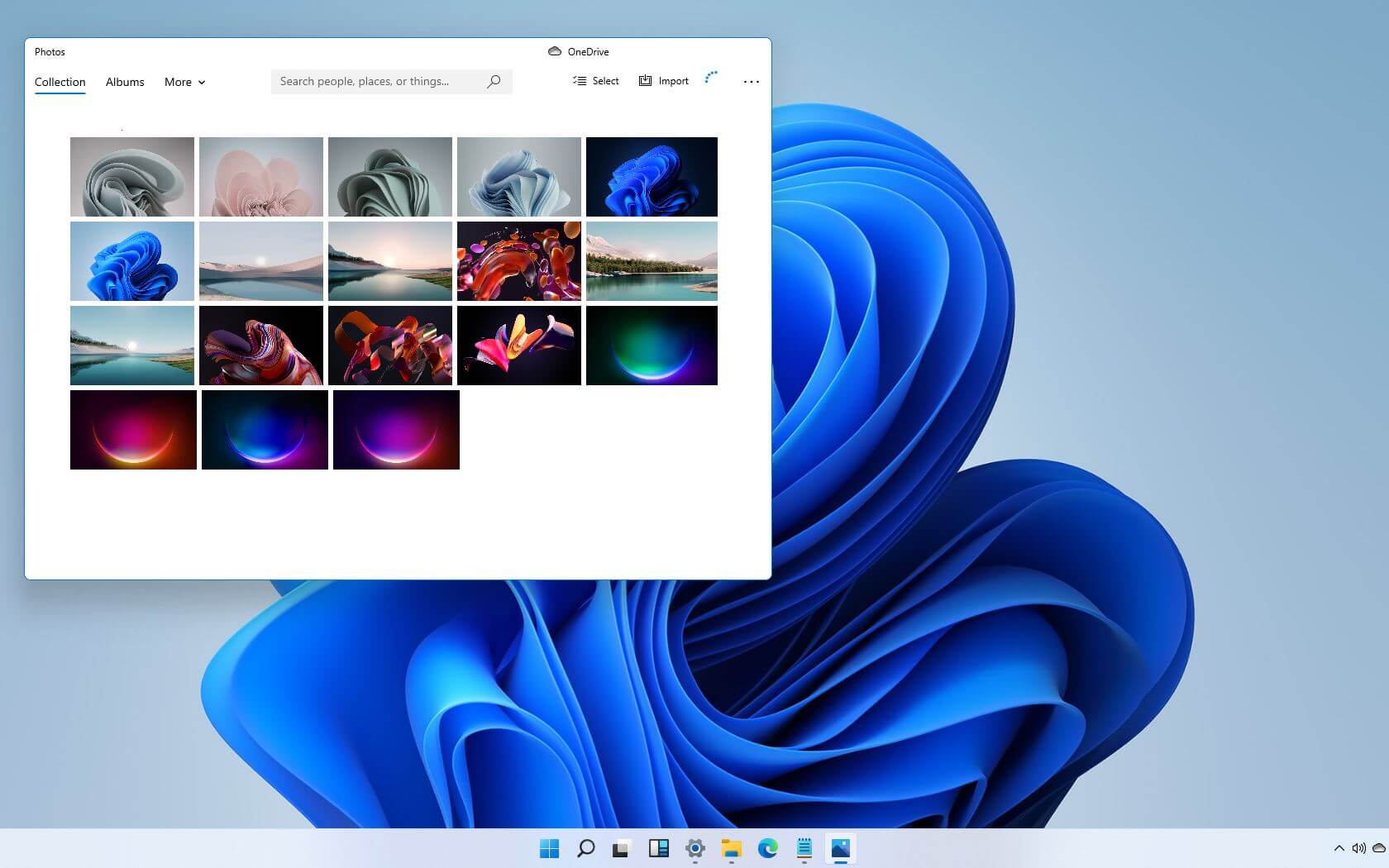 Windows 11 ((Professional Disk)). 