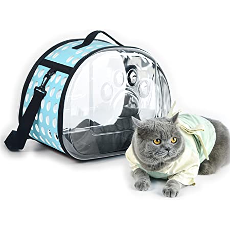 Soft-Side Cat Dog Carrier, Collapsible Clear Tote for Small Animals,Airline  Approved Transparent Pet Carrier Bag, Breathable Portable Traveling