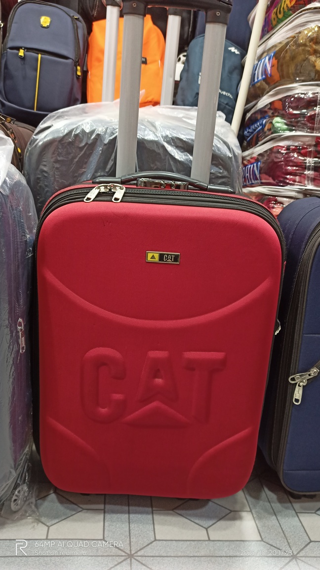 cat trolley bag