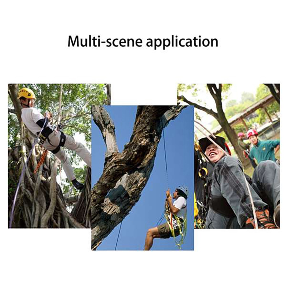 Tree Climbing Spikes with Harness Belt for Climbing Trees Sports. 