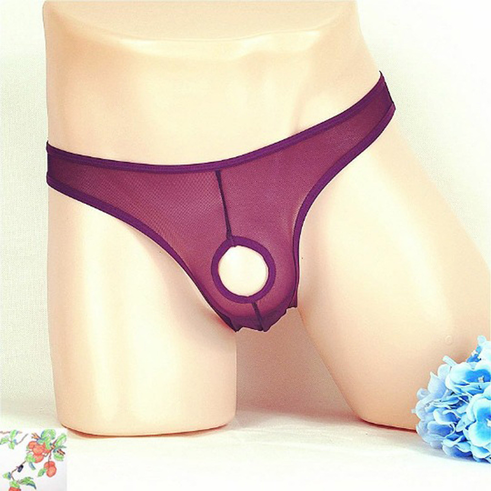 Lingerie Men Mesh Underwear Briefs Open Front simple Pouch Hole Out Transparent Panties Underpants. 