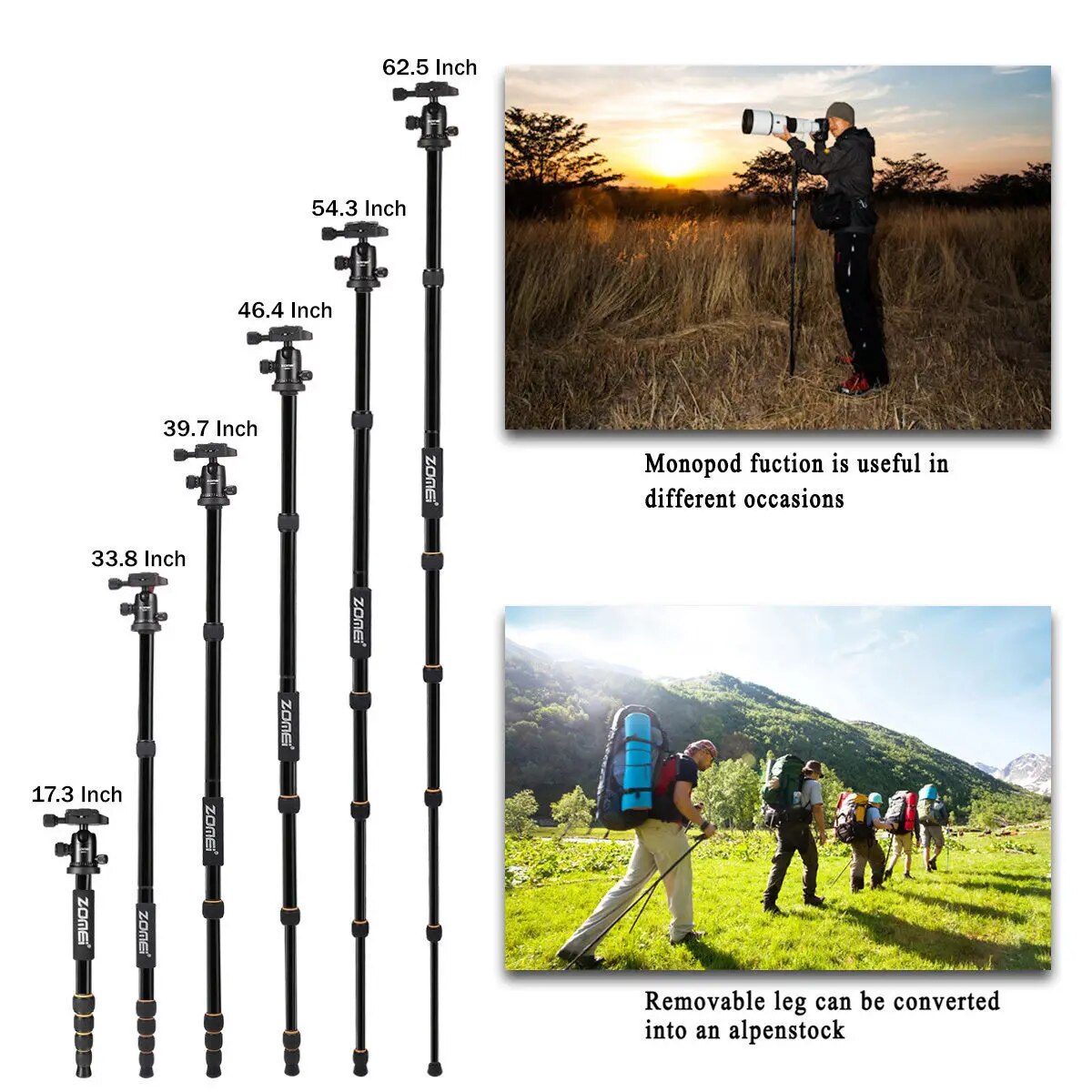 Zomei Q666 62-inch Camera Tripod for DSLR Compact Aluminum Tripod with 360 Degree Ball Head and Carrying Bag for Travel and Work. 