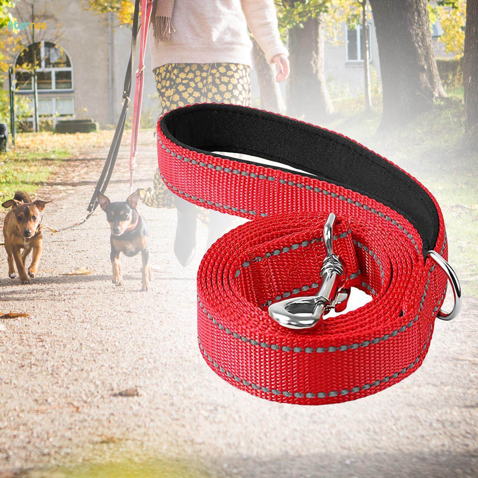 Reflective Dog Leash Strong with D Puppy Heavy Duty Durable