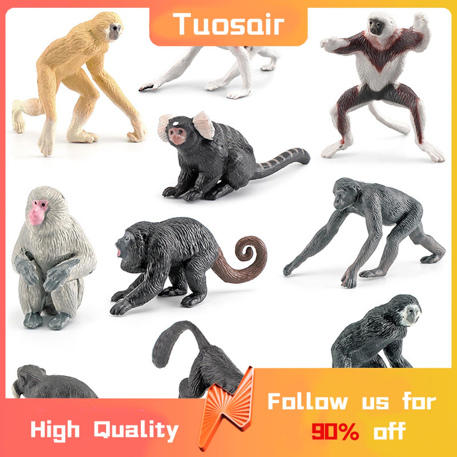 Gibbon Orangutan Figure tion Figure Gibbon Orangutan Figure Simulation Primates Model. 