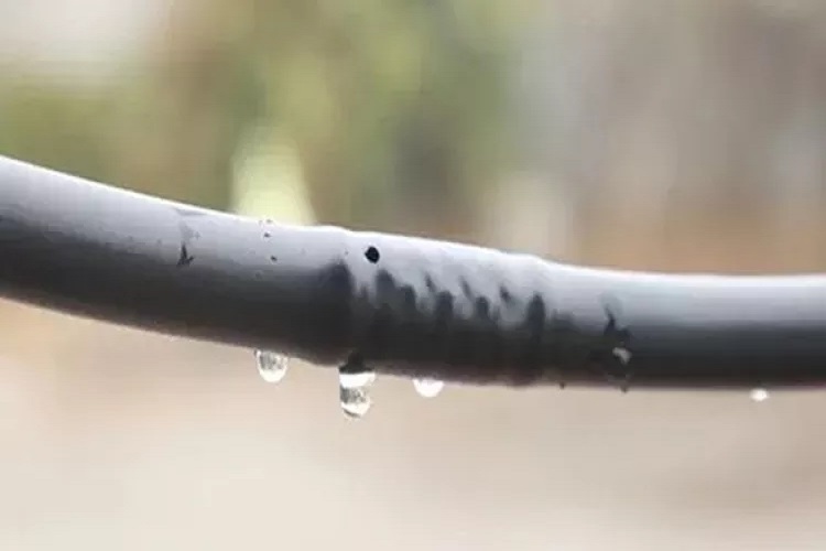 16mm Drip Irrigation LDPE Pipe with Round Emitter 30cm Spacing, Flow Rate 4 LPH, Thickness 0.8mm for Agriculture Garden Watering Drip Irrigation System.. 
