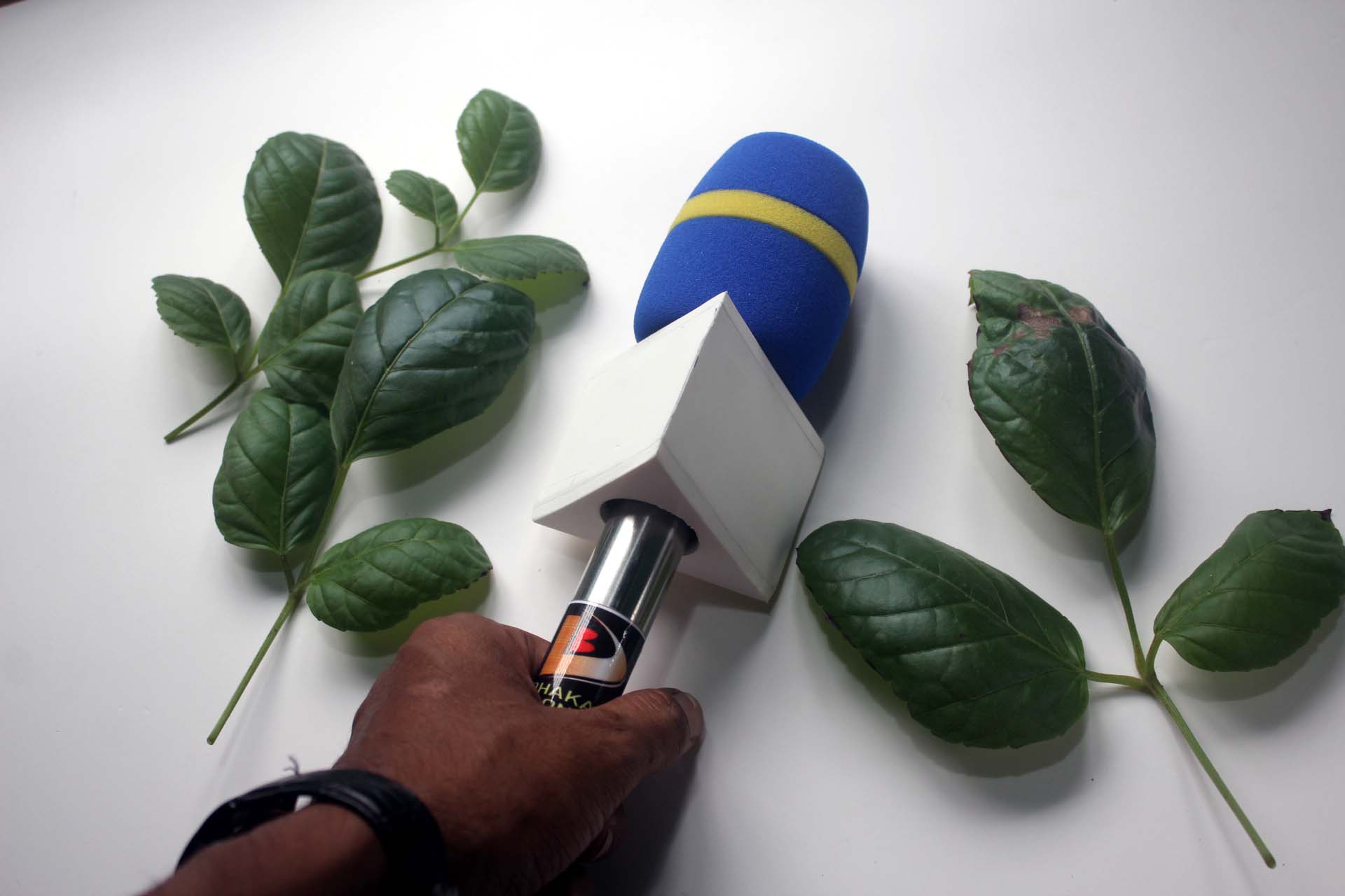 Journalist Microphone for Mobile with Chaina Foam. 