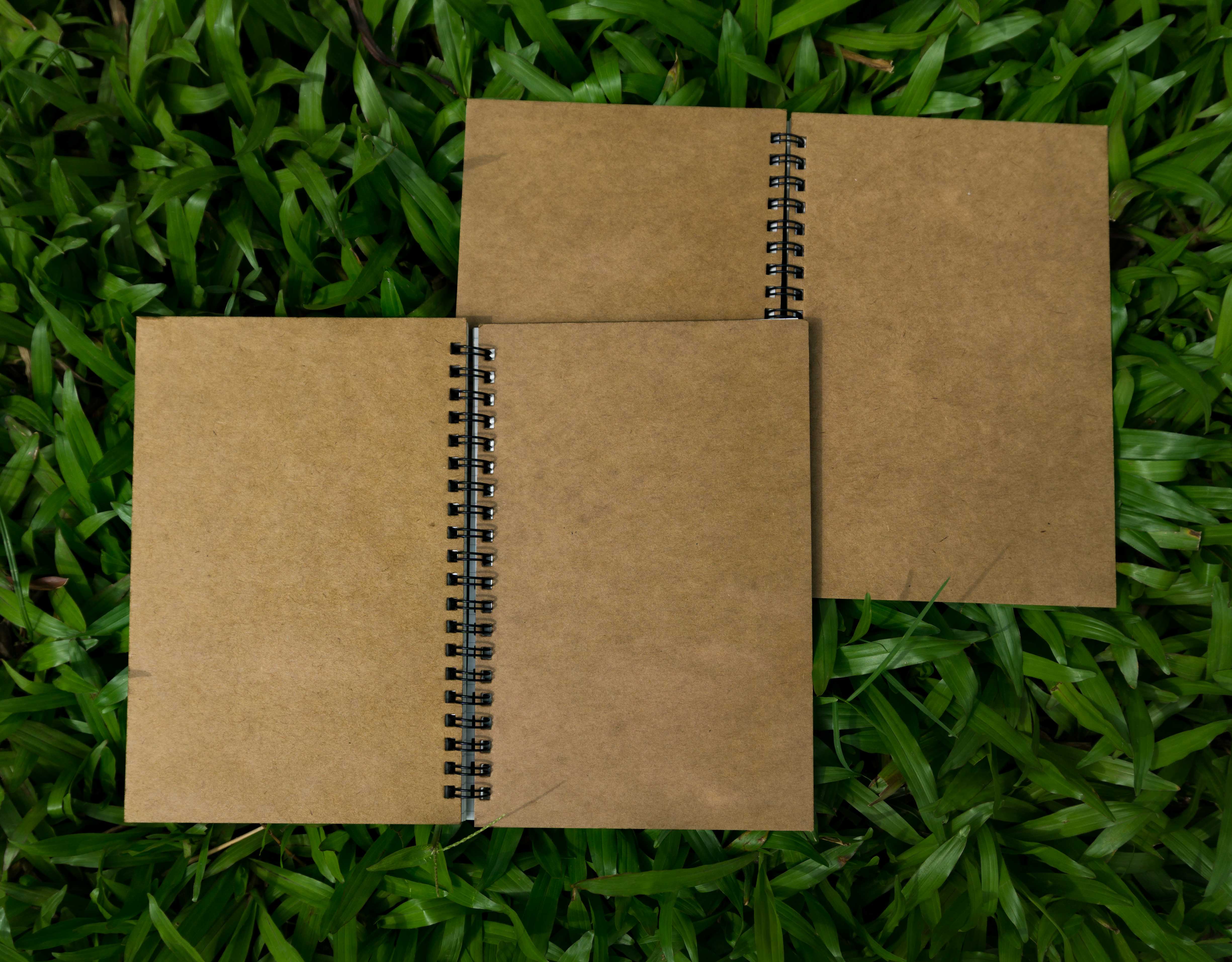 Designer Series Dot-Grid & Graph/Grid Notebook 2-Pack. 