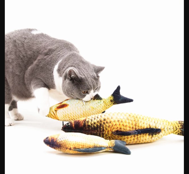 fish play for cats