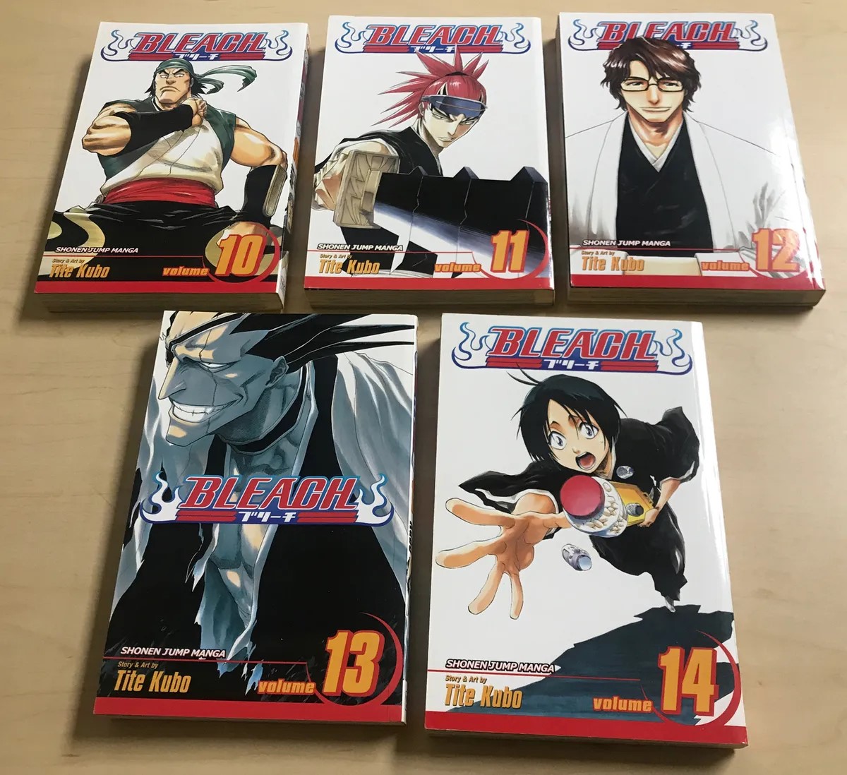 Bleach, Volume 10. 