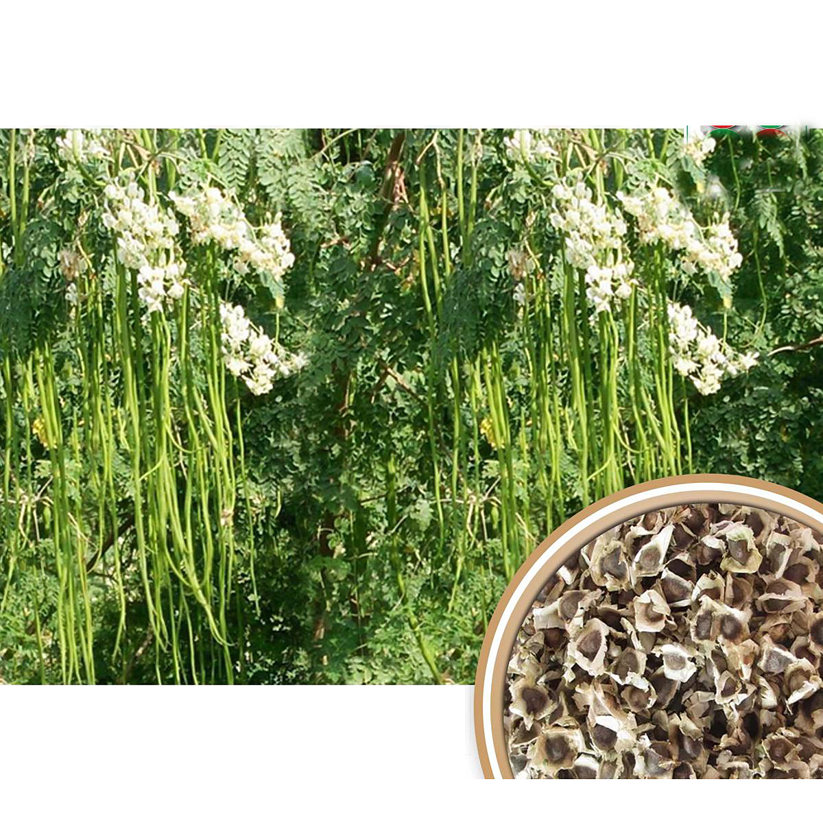 Baxrom Yoqubov va Diana porno video