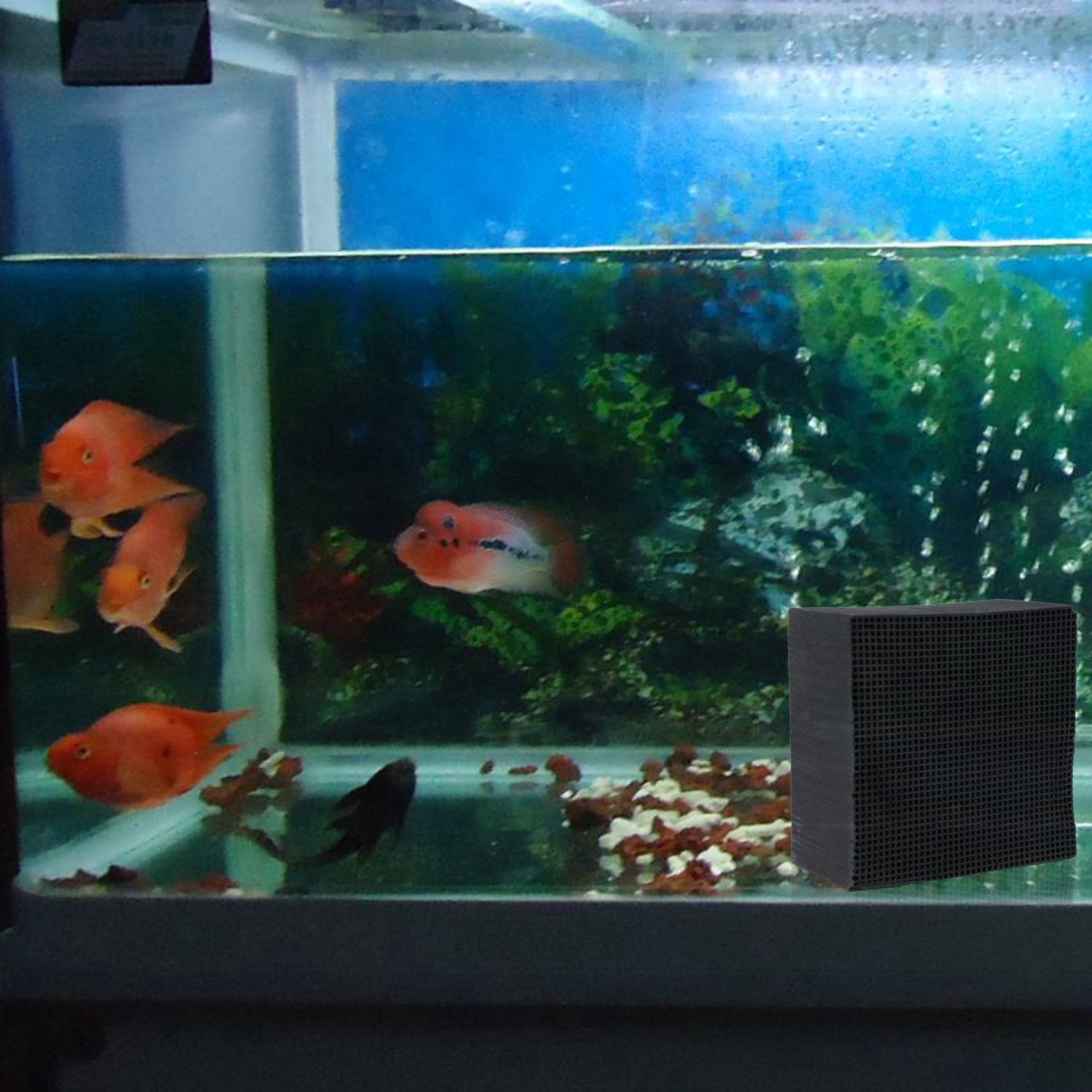 2X Activated Carbon Filter Eco-Aquarium Water Purifier Cube Honeycomb Ultra Strong Filtration & Absorption Filter A. 