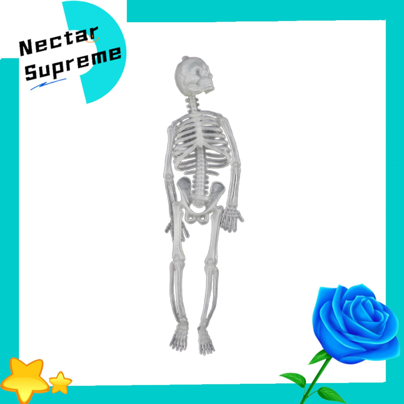 Skull Toy Practical Realistic Interesting Luminous Halloween Skeleton Body Statue