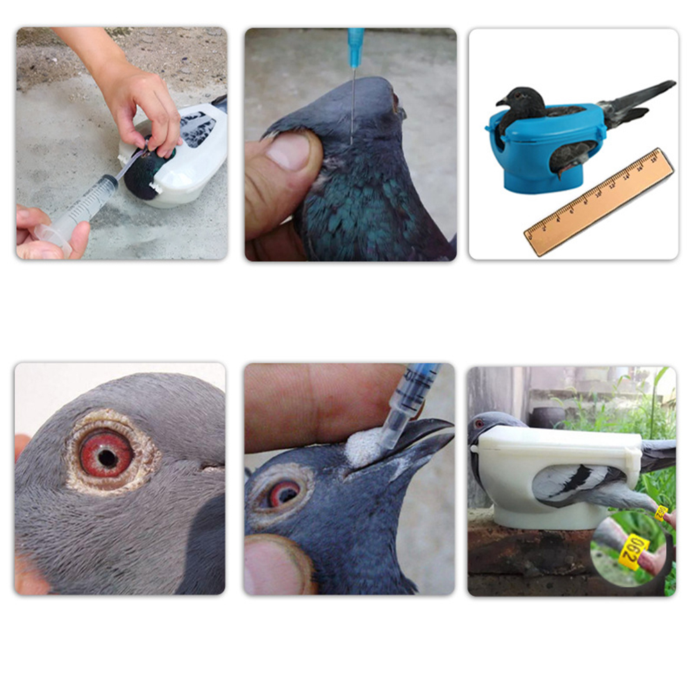 GC Pigeon Holder Plastic Pigeons Holder Bird Fixed Frame Rack Feeding Syringe For Birds Pigeon Parrot Chick Injection Feeding. 