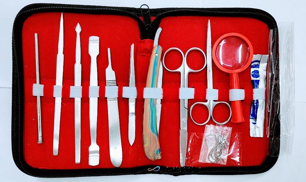 Dissection Box For Biology Laboratory RED-12 pcs. 