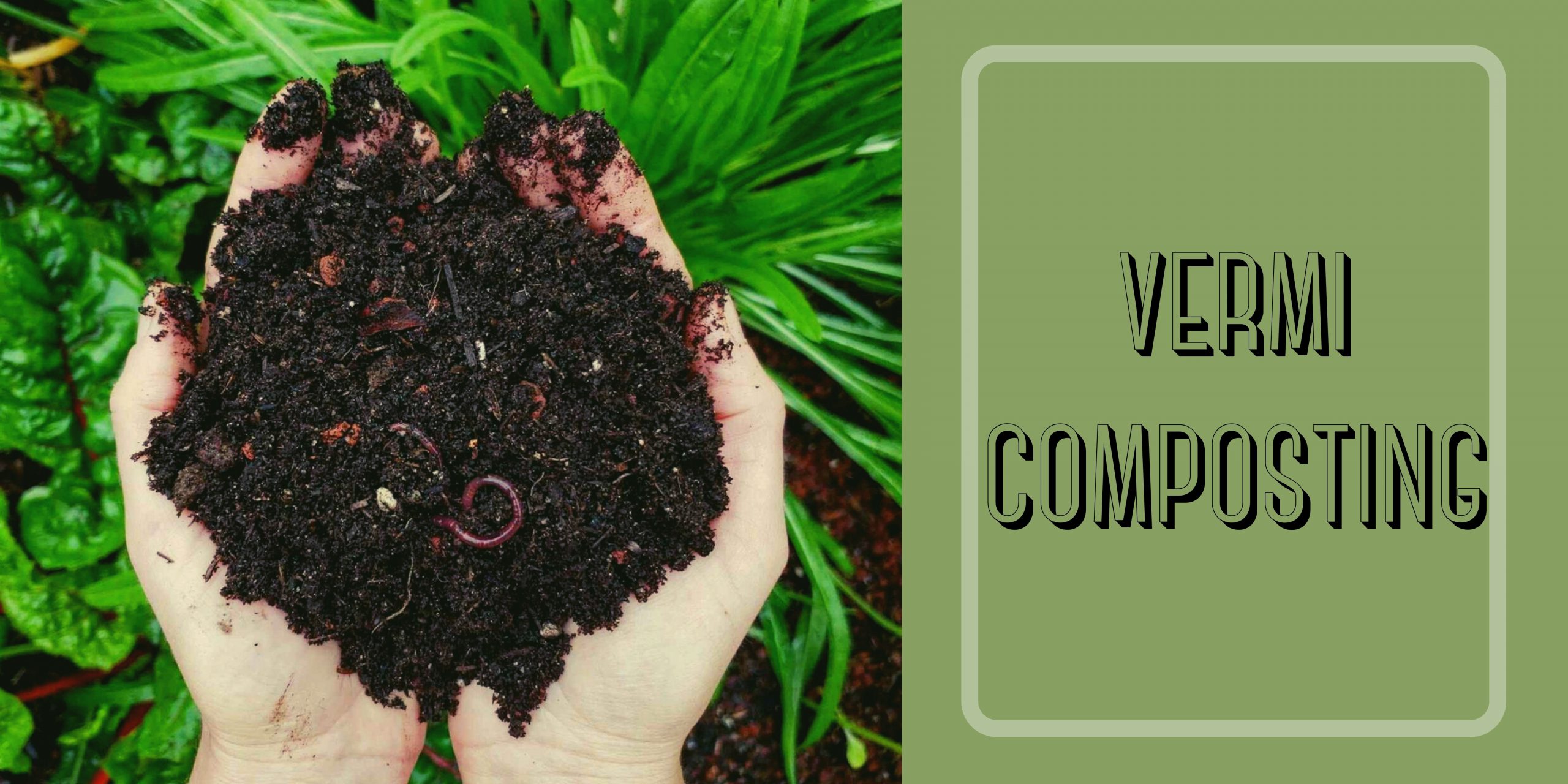 Vermicompost - ভার্মিকম্পোস্ট গন্ধ বিহীন কেঁচো বিহীন ১ কেজি প্যাক. 