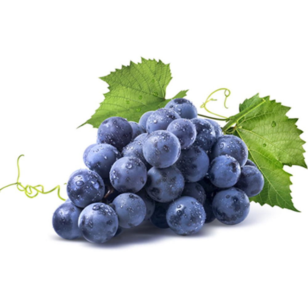 Indispensable - Superb Quality - 6 type of fruit seeds combo pack. 20 seeds total - Tools, DIY & Outdoor - Express Yourelf. 