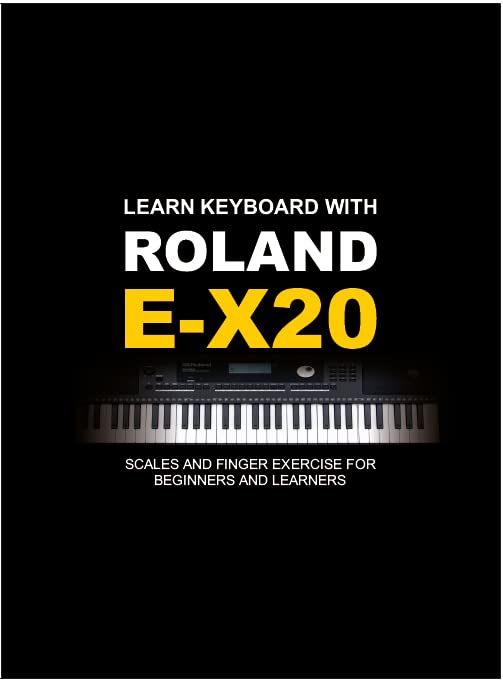 Roland EX-20 Arranger Keyboard. 