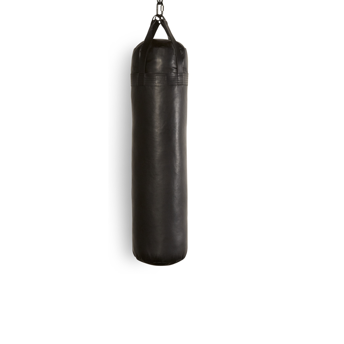 Dicks Punching Bag