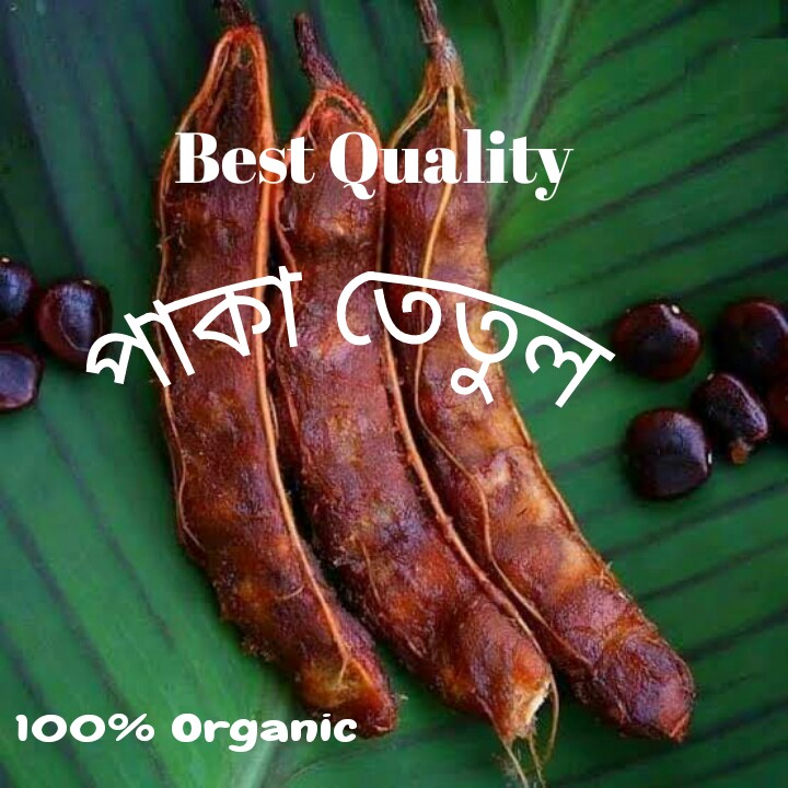 Tamarind Sour / Tetul ( Fresh Quality) -100gm _Paka Tetul-JAR. 