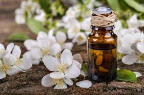 Jasmine oil/chameli tel 100ml. 