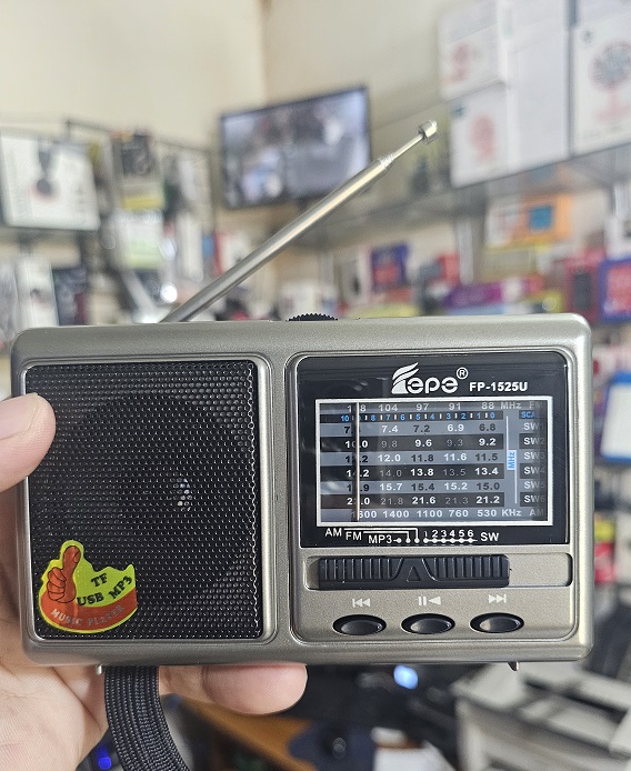 FEPE FP-1525U FM Radio With Multi Function Music Player AM/FM/SW. 