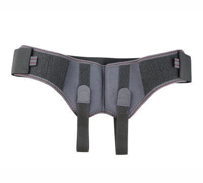 dog hernia belt