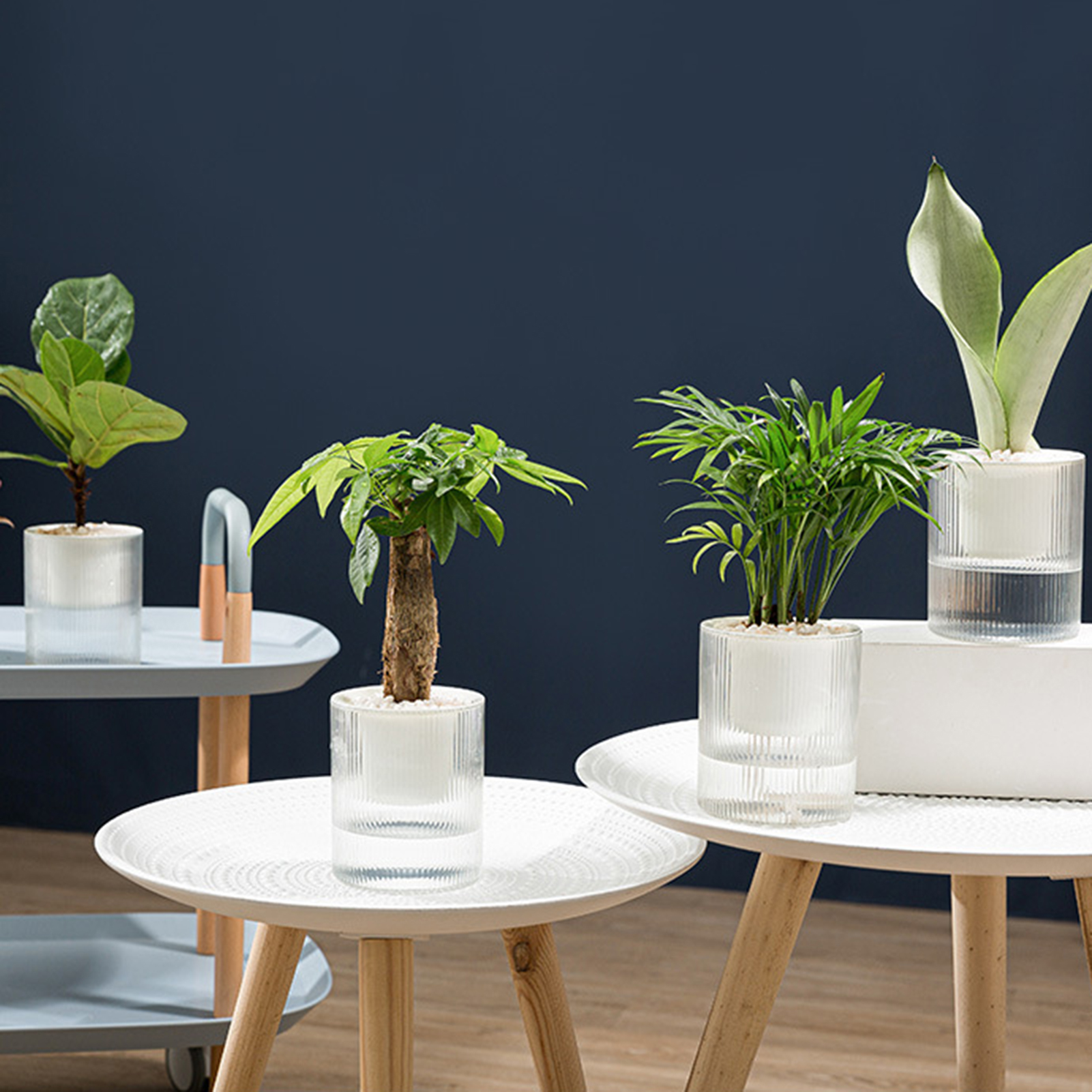 Container Eye-catching All-Purpose Automatic-Watering er Flower Pot. 