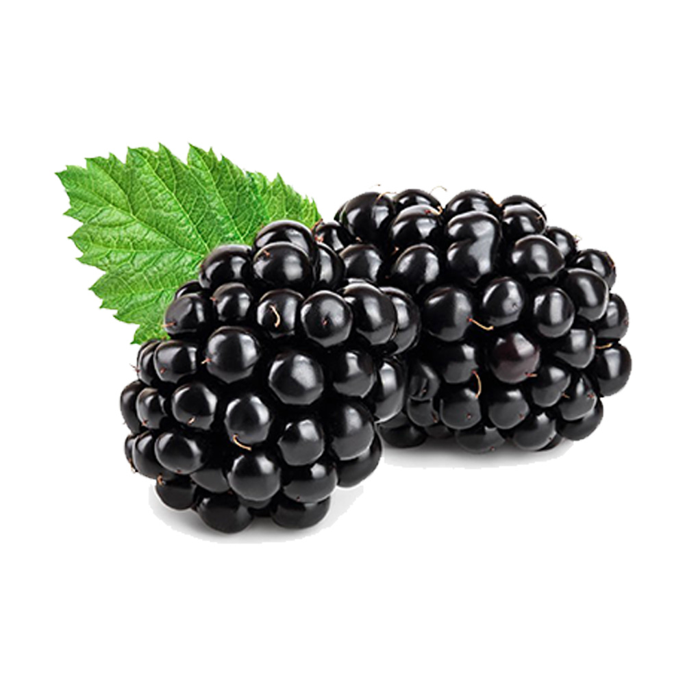 Indispensable - Superb Quality - 6 type of fruit seeds combo pack. 20 seeds total - Tools, DIY & Outdoor - Express Yourelf. 