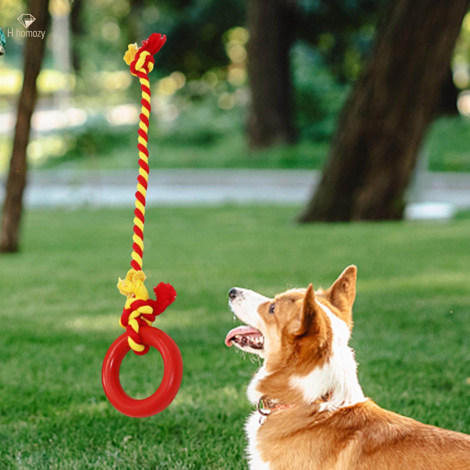 Chew Toys Yard Running Puppy Garden Dogs Rope Toy Interactive Dog Tug Toy Red. 