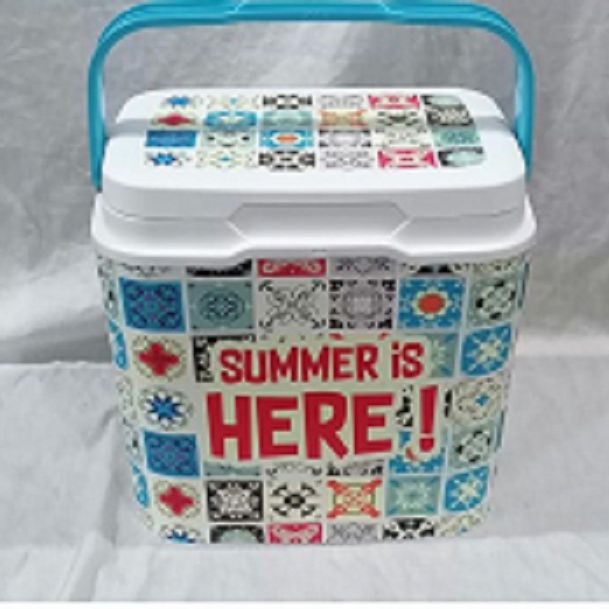 Cooler box hot sale 15 liter