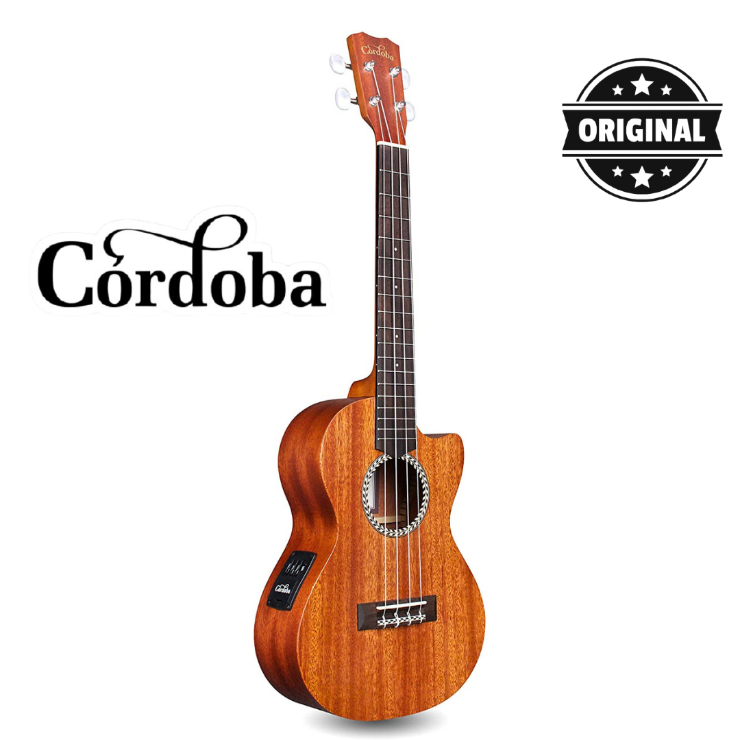 平井大 オリジナル ウクレレ Ukulele シグネチャーモデル visvim 平井