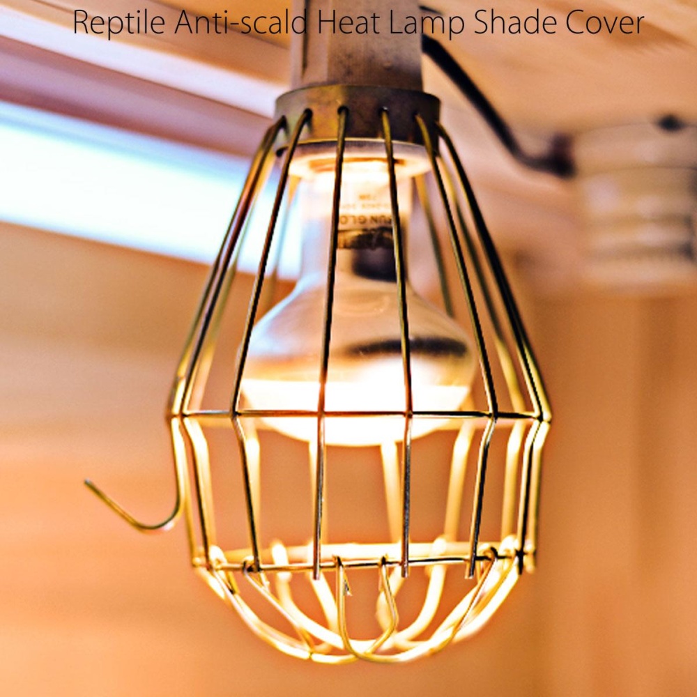 Reptile Heat Lamp Shade Cover Anti Scald Heating Light Bulb Safety Details Of Reptile Heat Lamp Shade Cover Anti Scald Heating Light Bulb Safety Mesh Guard