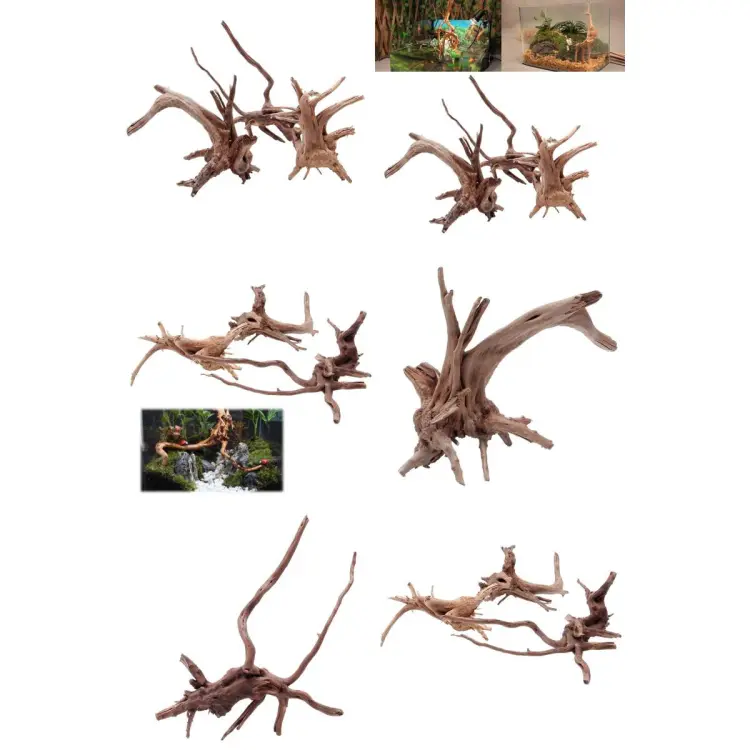 Share more than 153 aquarium wood decor best vova.edu.vn