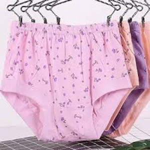 2 Pieces Cotton Comfortable Panty for Women