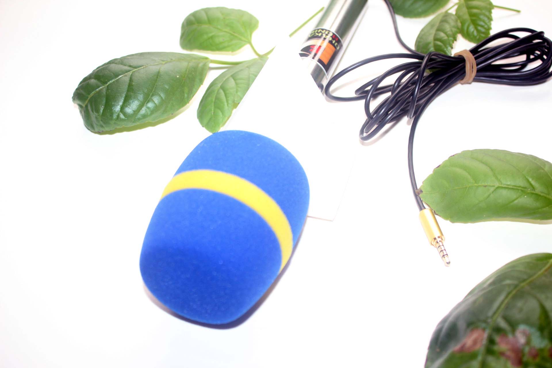Journalist Microphone for Mobile with Chaina Foam. 