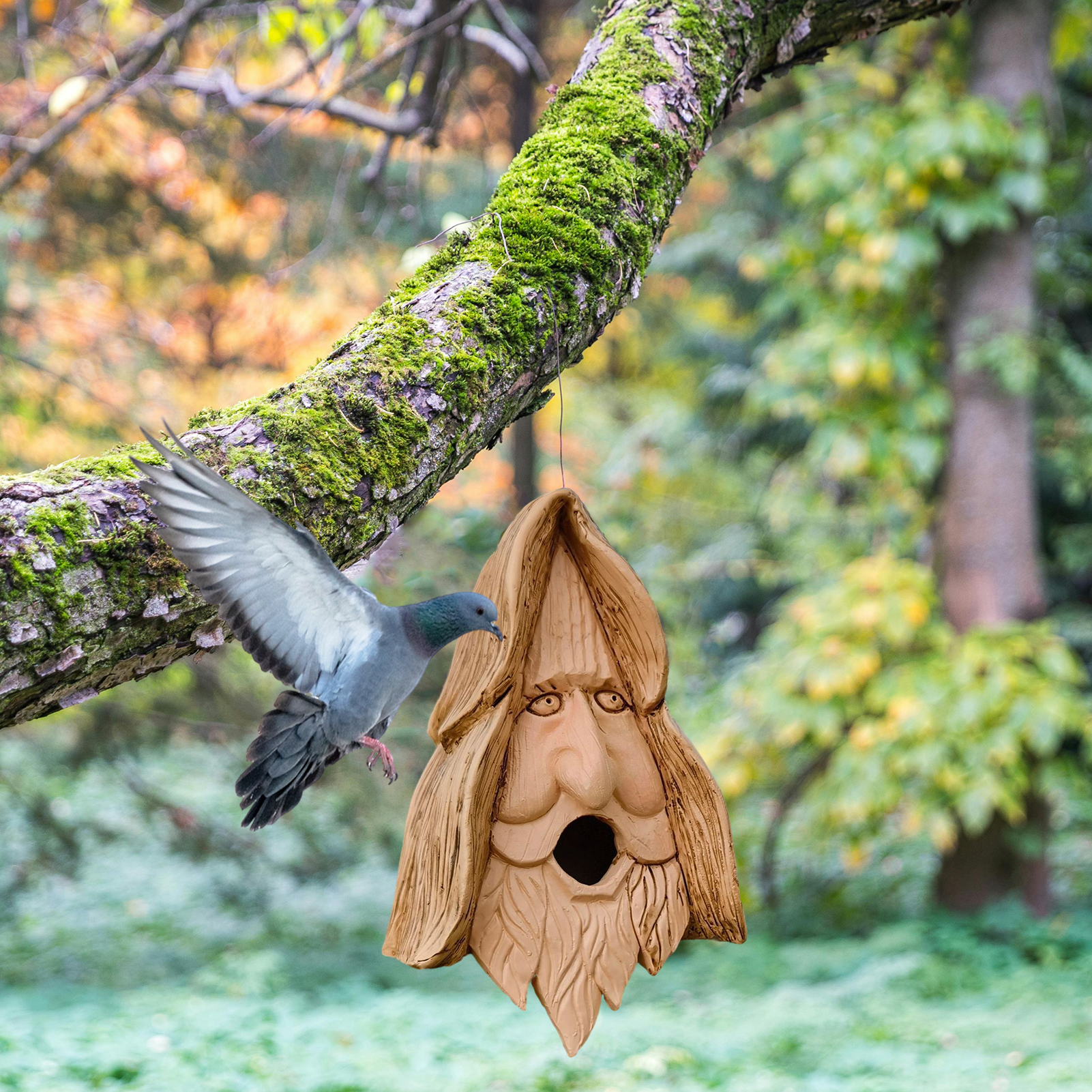 Birdhouse with Carved Hair Hand-carved Human Face Bird Nest on Ancient Tree Unique Fairy Birdhouse for Ancient Tree Fairy Birdhouse. 