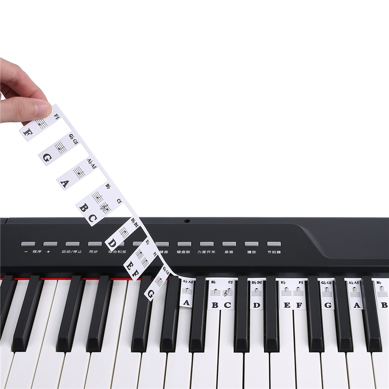 （New）1 PC Removable Piano Keyboard ticker Piano Key ticker for Beginner tudent 61 Key. 