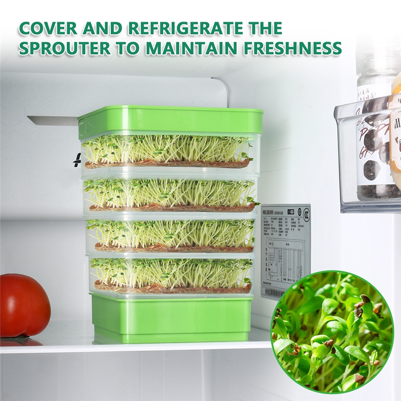 Bean Seed Germination Kit, Micro-Green Plant Growing Tray, Drain Tray, Four-Tier Stackable Sprout Growing Kit Easy to Use. 