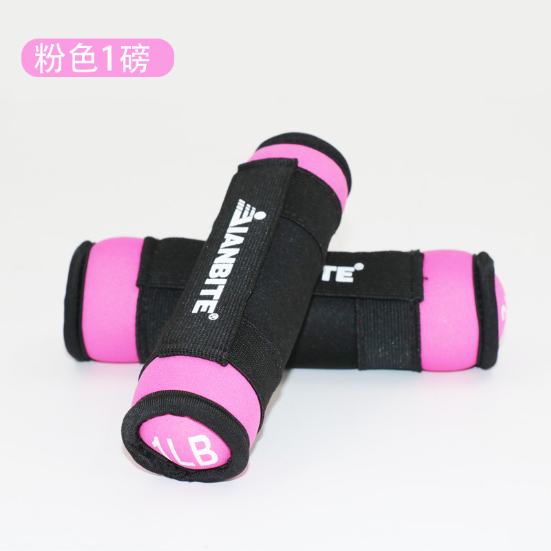 Sandbag dumbbells for ladies fitness household equipment solid iron sand small dumbbells beginners running square dance exercises arm muscles. 