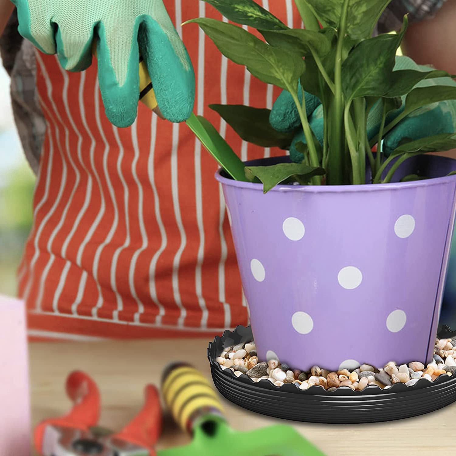Plant Saucer 8 Inch,6 Pack Plant Trays,for Indoor and Outdoor,Black