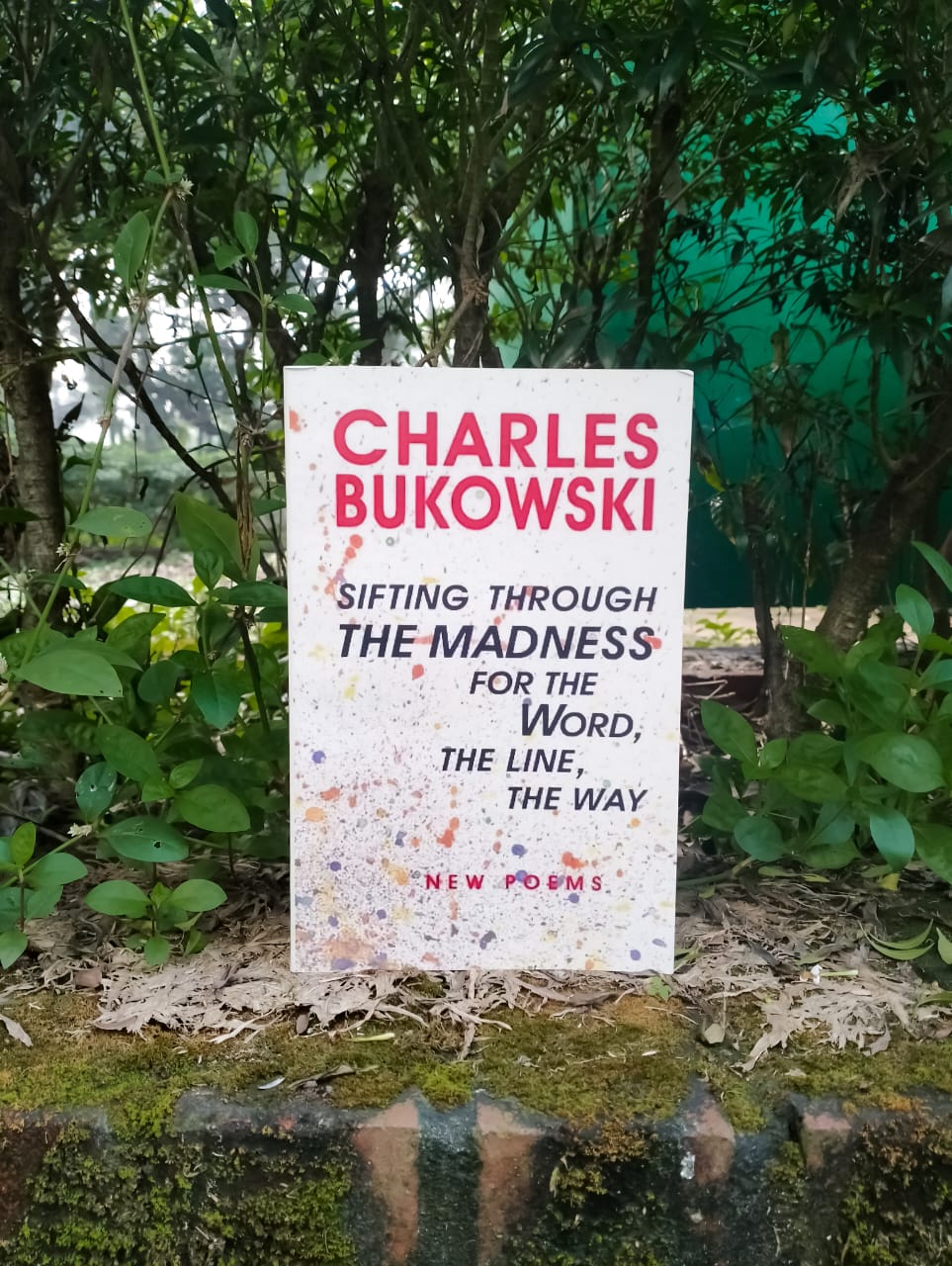 Sifting Through the Madness for the Word, the Line, the Way by Charles Bukowski