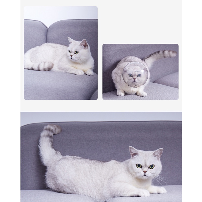 Cat Mouth Anti-bite Breathable Beauty Mask Mouth Mouth Bathing Beauty Travel Tool Cat Grooming Supplies.. 
